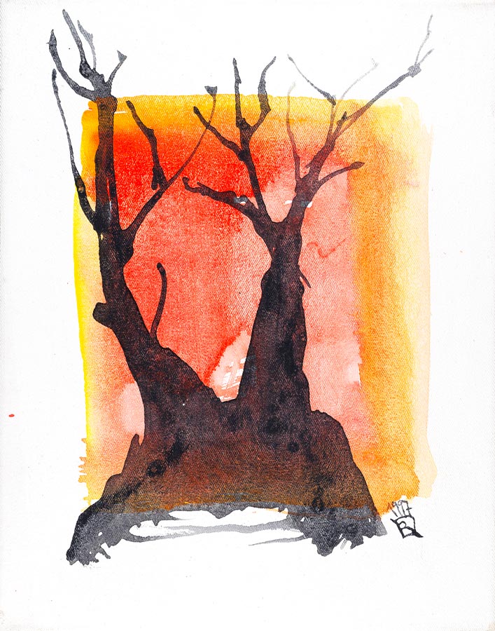 baum 14 - beispiel fuer wald